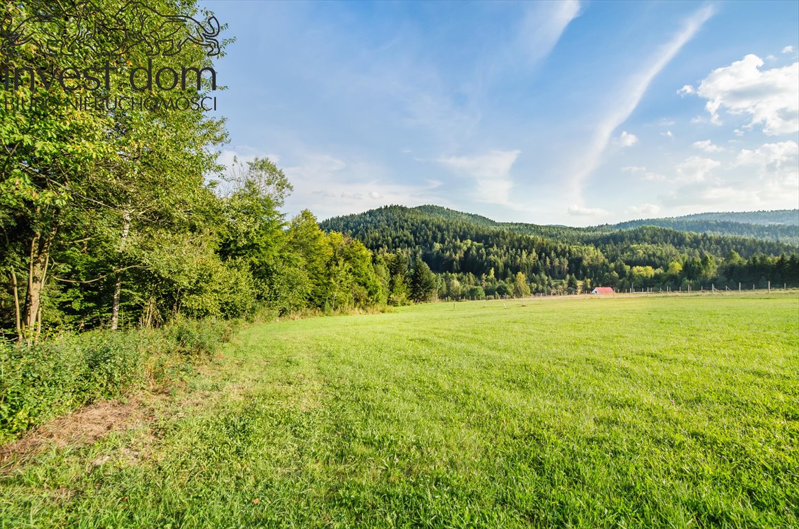 Działka budowlana na sprzedaż Florynka  1 244m2 Foto 8