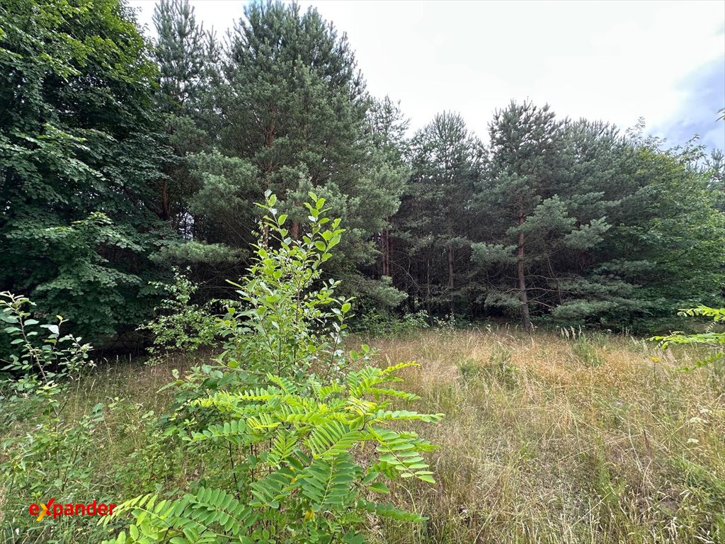 Działka 9870 m² z lasem, media, blisko Olsztyna - polecam! Olsztyn  9 870m2 Foto 1