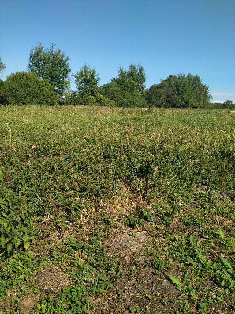 Działka 1063 m² w Wołczkowie z mediami i lasem Wołczkowo  1 063m2 Foto 1