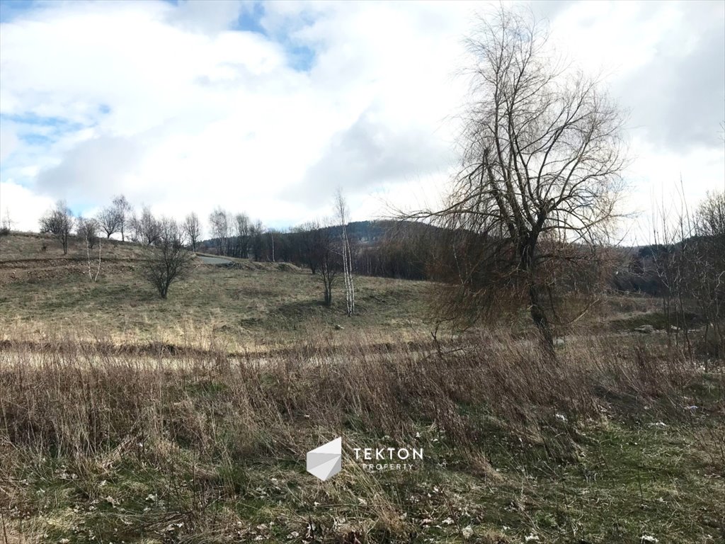 Działka rolna na sprzedaż Sierpnica, Zielone Wzgórze  12 700m2 Foto 1