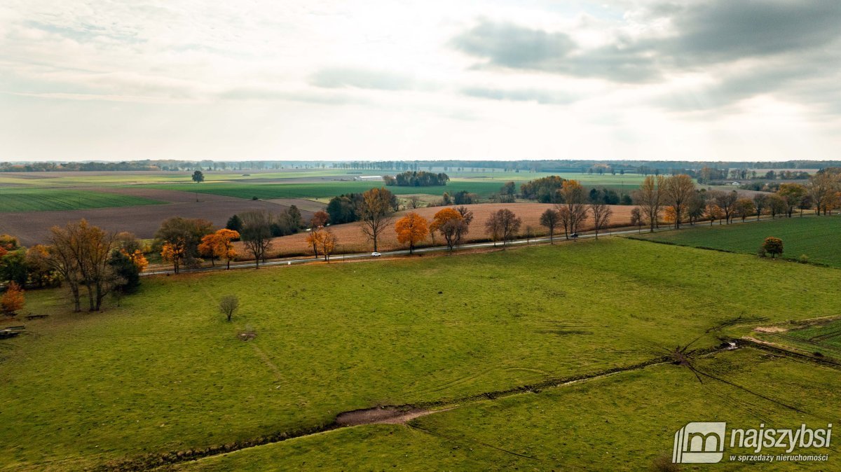 Działka rolna na sprzedaż Korytowo, centrum  13 800m2 Foto 5