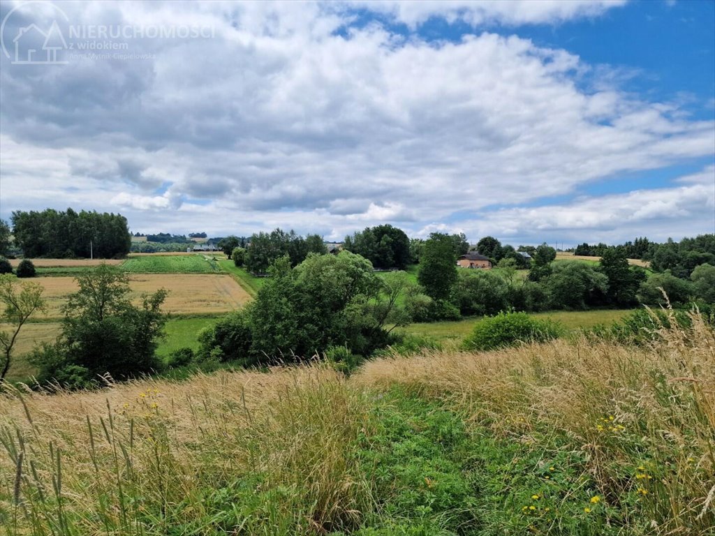 Działka budowlana na sprzedaż Sitnica  10 602m2 Foto 6