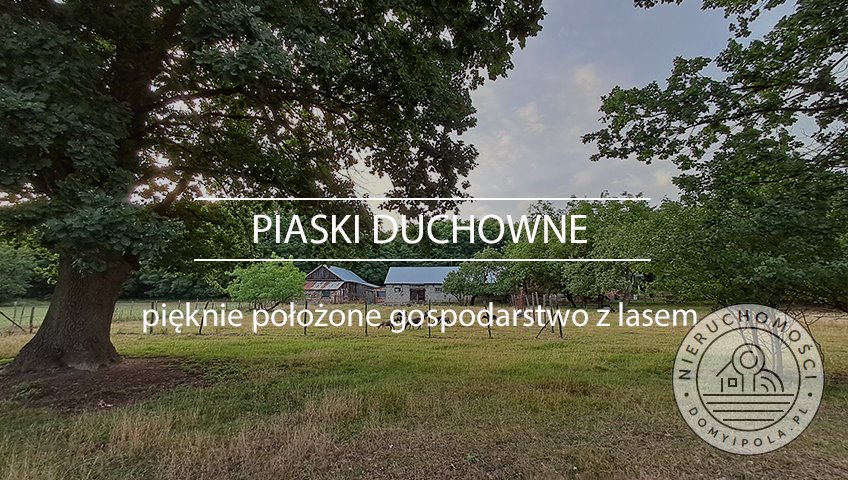 Urokliwa działka 3 ha z lasem i widokami na Mazowszu Piaski Duchowne  27 434m2 Foto 1