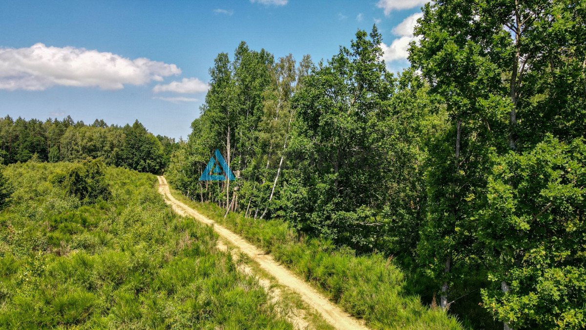 Działka budowlana na sprzedaż Salino  6 327m2 Foto 5