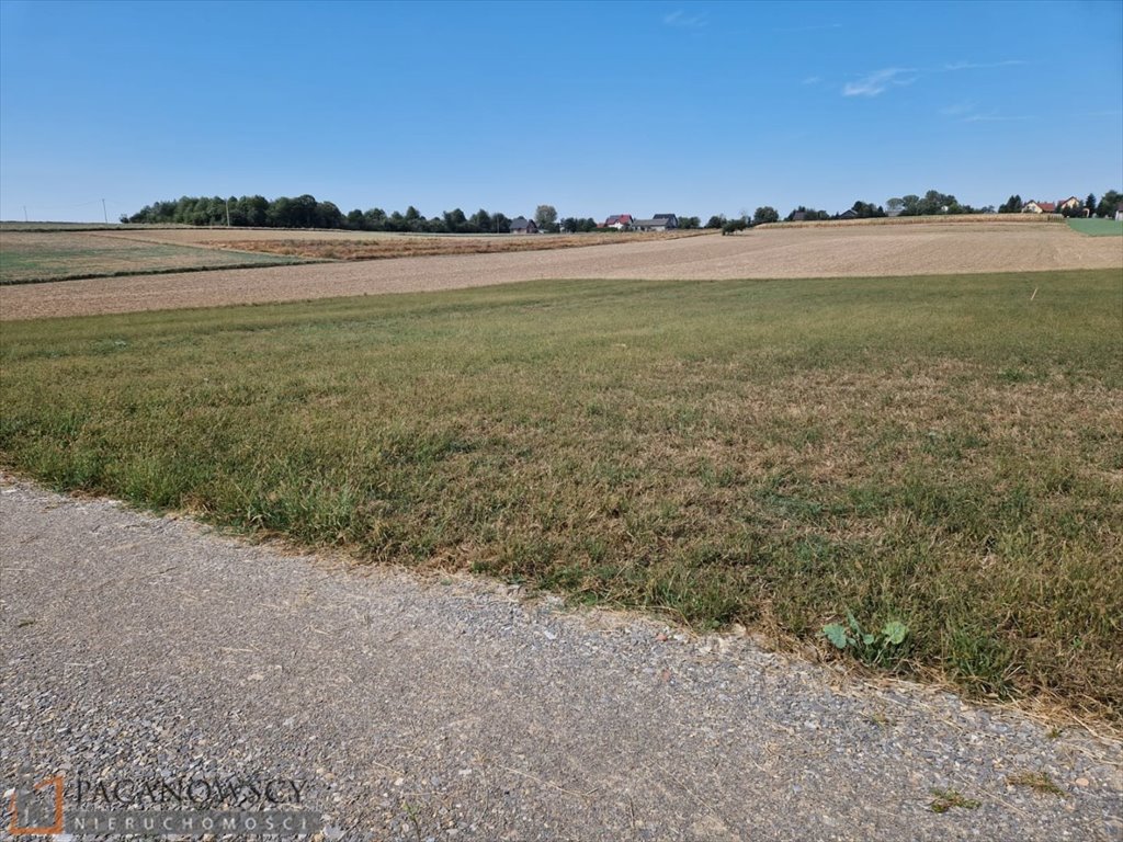 Działka budowlana na sprzedaż Sieciechowice  1 000m2 Foto 4