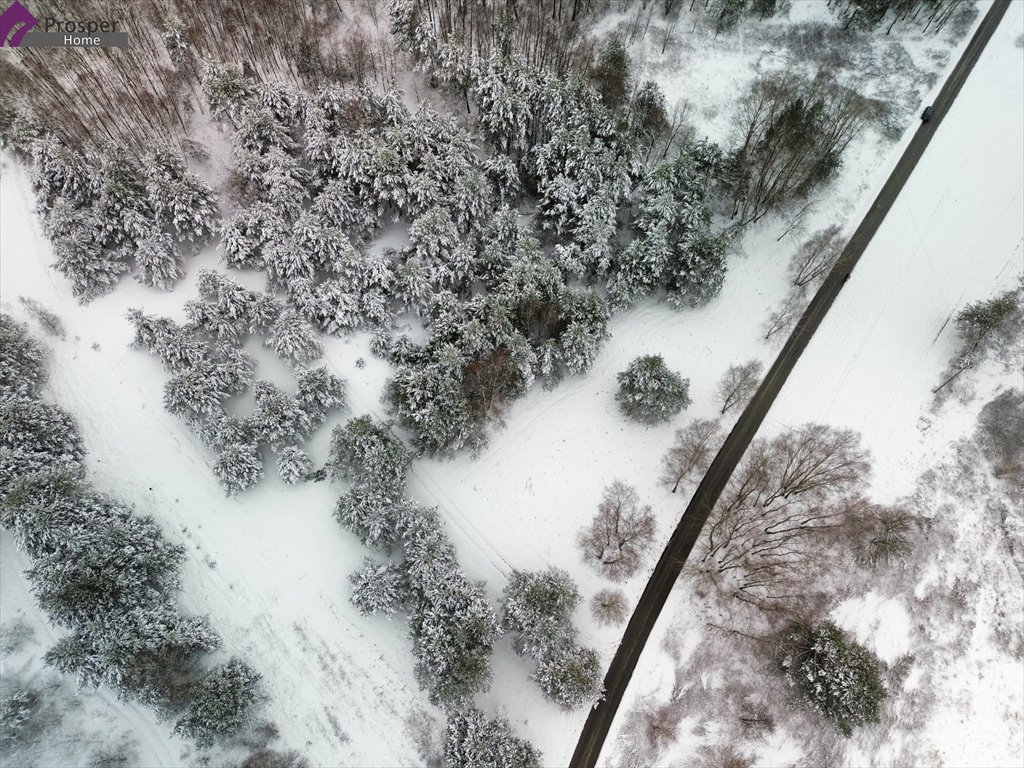 Działka budowlana na sprzedaż Boreczek  4 400m2 Foto 4