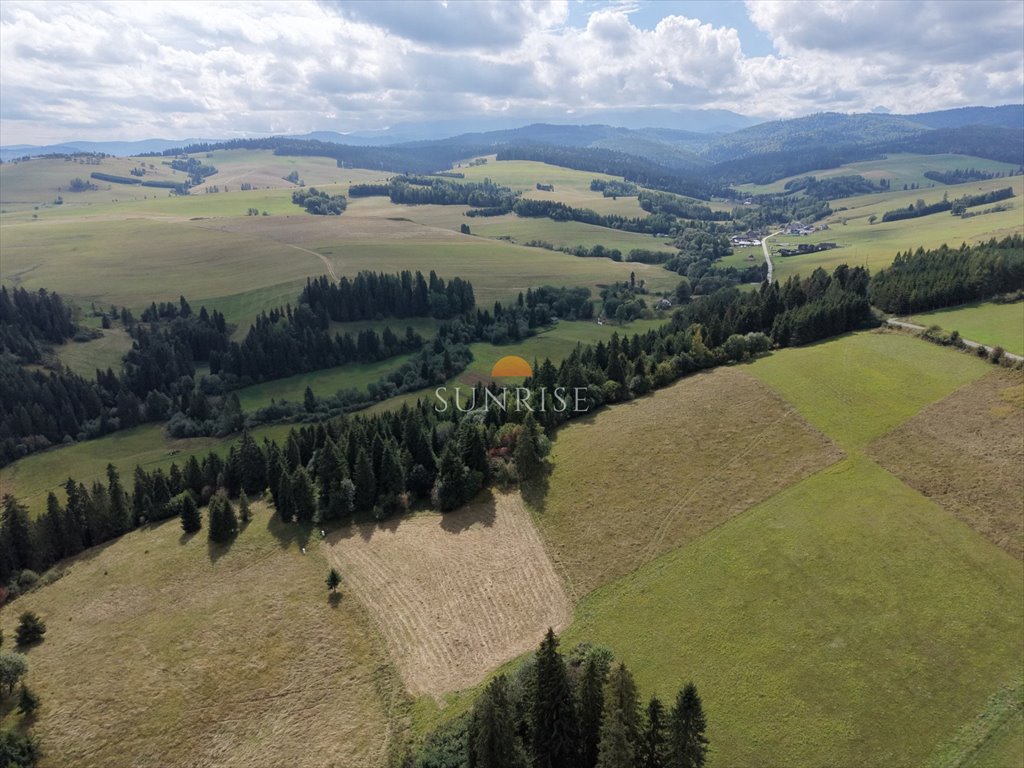 Działka leśna 2650 m² w Niedzicy - dostęp do drogi i prądu: Niedzica