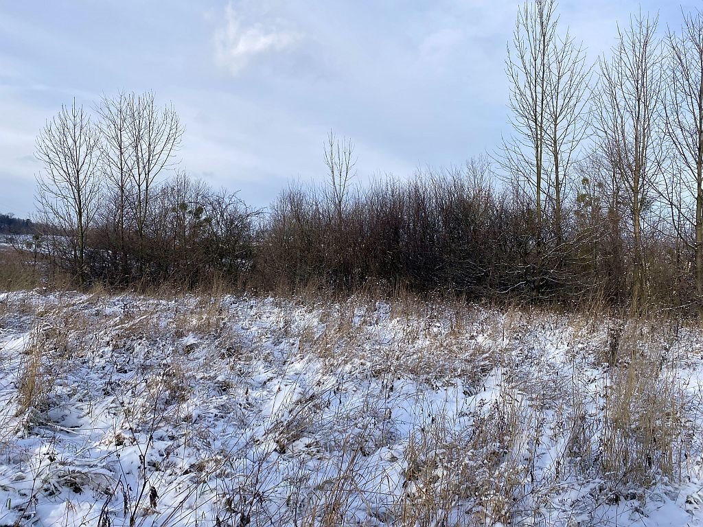 Działka budowlana na sprzedaż Ustroń, Jelenica  2 121m2 Foto 15