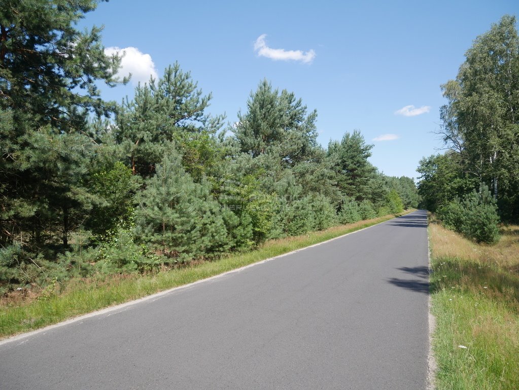 Działka budowlana na sprzedaż Bronowiec  2 000m2 Foto 6