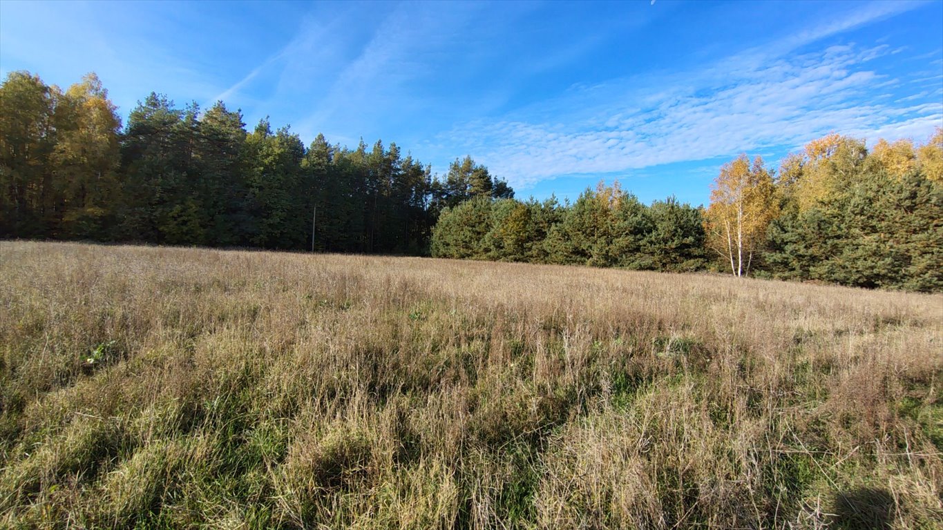 Działka budowlana na sprzedaż Nowa Wieś  1 000m2 Foto 7