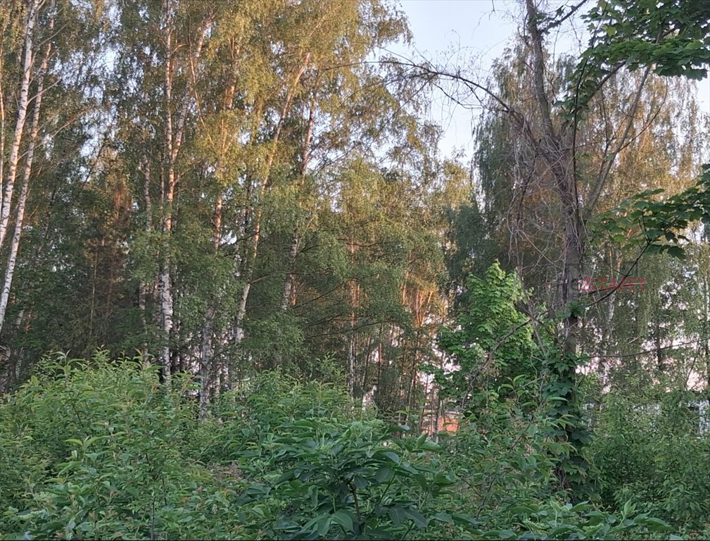 Działka 1625 m² z mediami, idealna pod dom marzeń Łazy  1 625m2 Foto 1