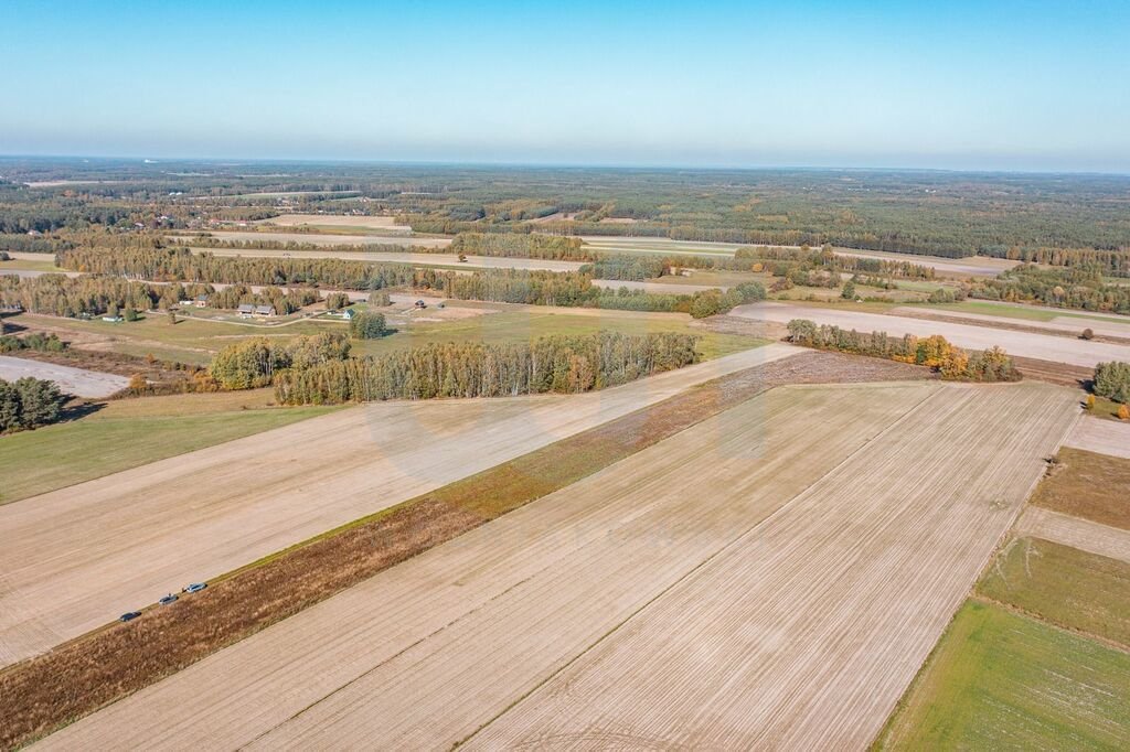 Działka budowlana na sprzedaż Krajęczyn  3 000m2 Foto 13