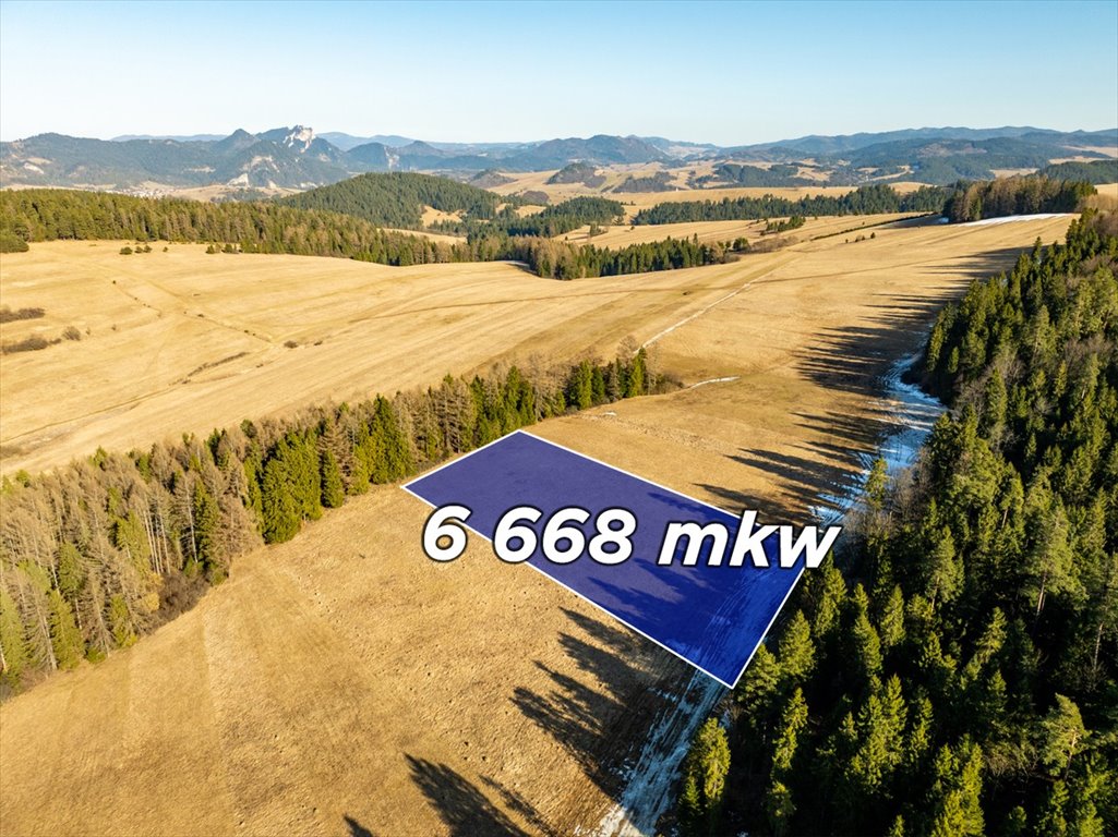 Działka 66 arów z możliwością zalesienia, cisza i spokój Nowotarski, Glinik  6 668m2 Foto 1