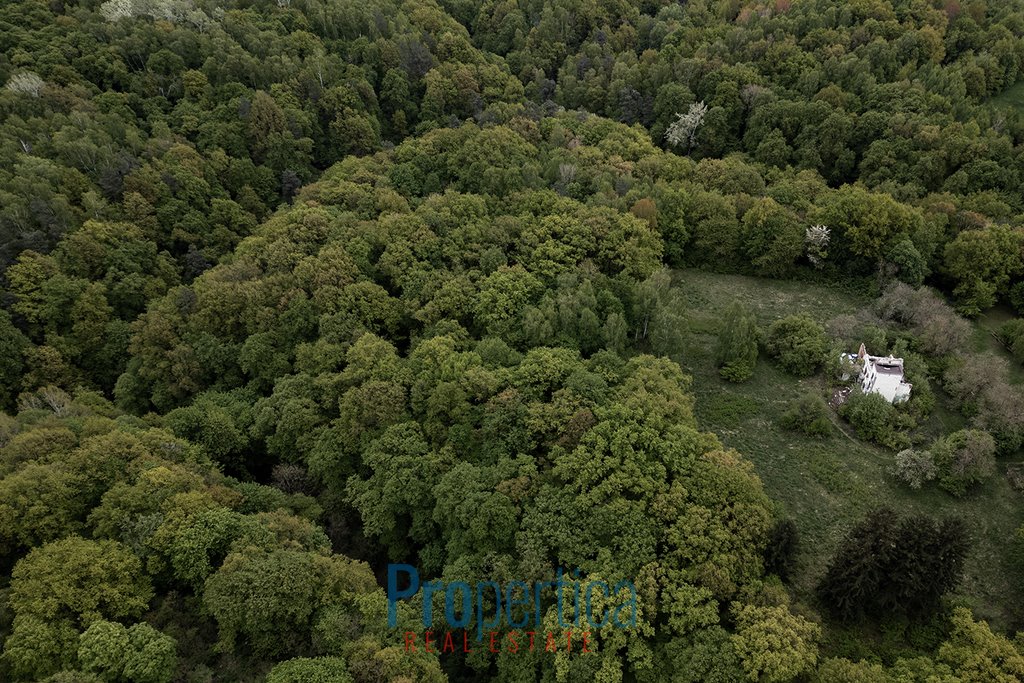 Działka budowlana na sprzedaż Kazimierz Dolny, Plebanka  29 924m2 Foto 4