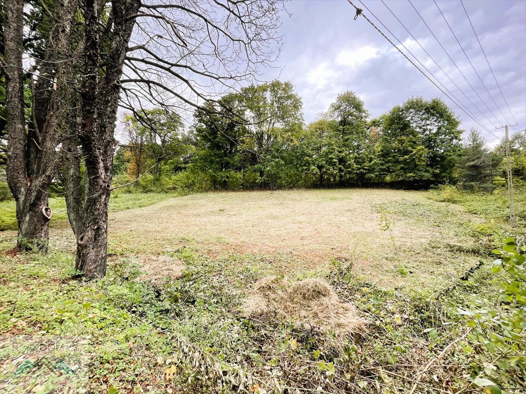 Działka budowlana 790 m² w Kluczach, las, staw, media Klucze  790m2 Foto 1