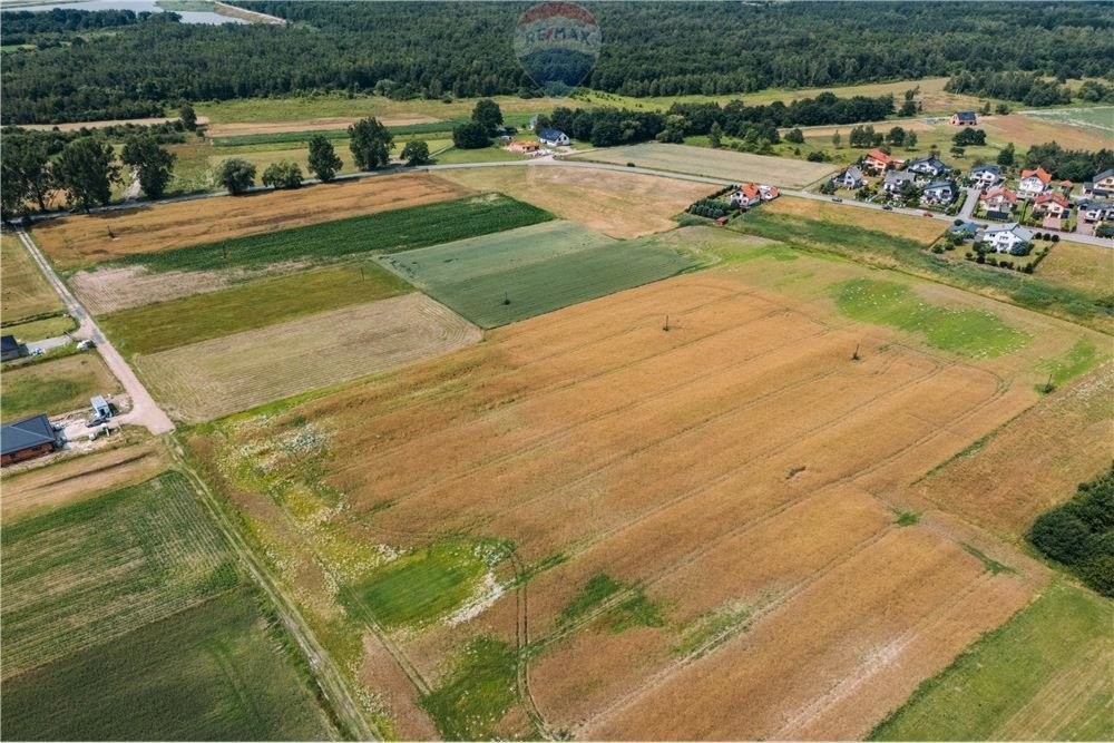 Działka siedliskowa na sprzedaż Kłokoczyn, Sarnia  3 012m2 Foto 5