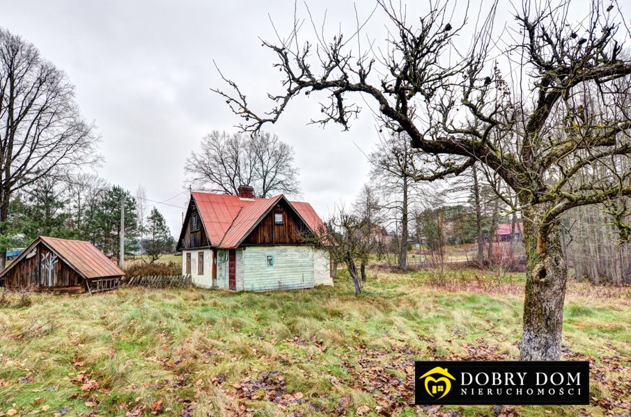 Działka budowlana na sprzedaż Augustów, Wojciech  7 000m2 Foto 13