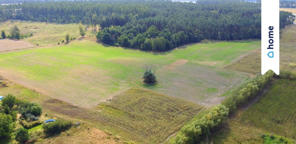 Działka budowlana na sprzedaż Osówiec, Leszczynowa  869m2 Foto 1