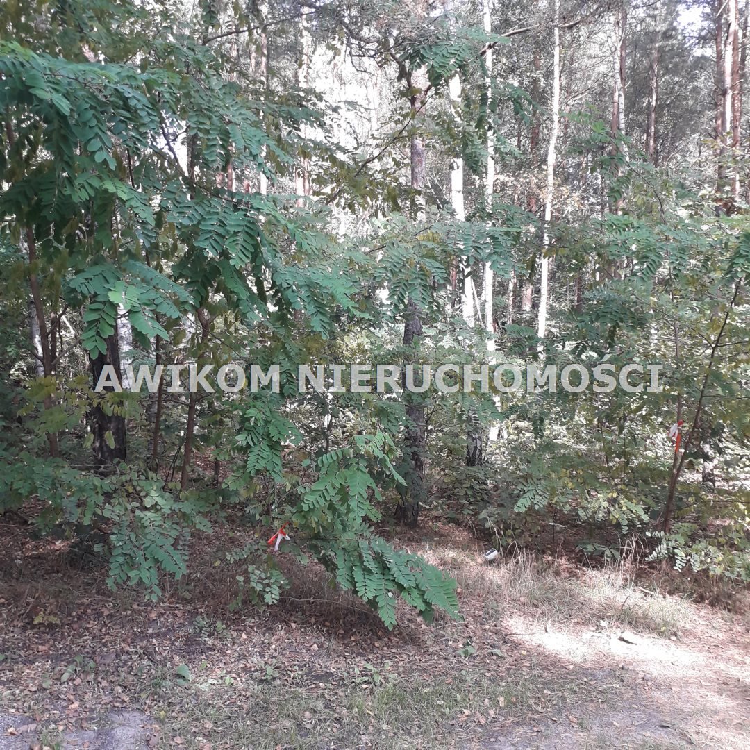 Działka siedliskowa na sprzedaż Mościska  3 122m2 Foto 1