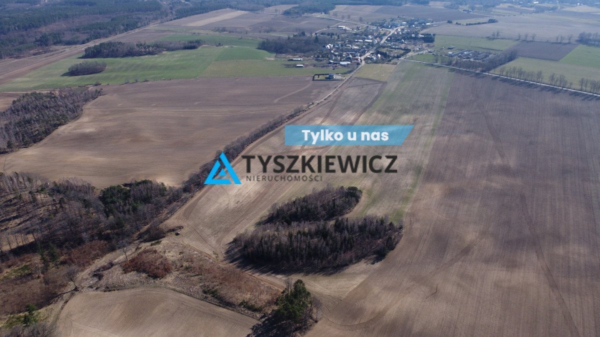 Działka rolna na sprzedaż Świerzenko  203 494m2 Foto 1