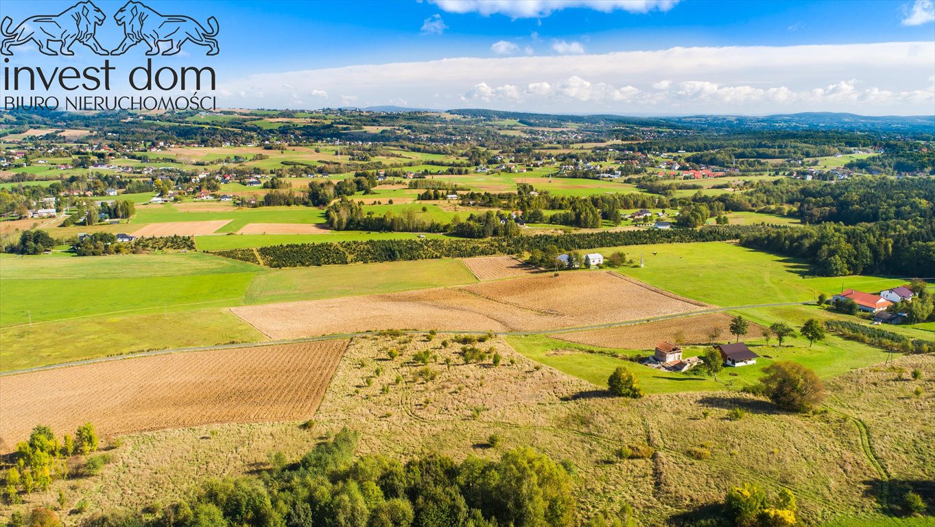 Działka rolna na sprzedaż Mszanka  9 500m2 Foto 11