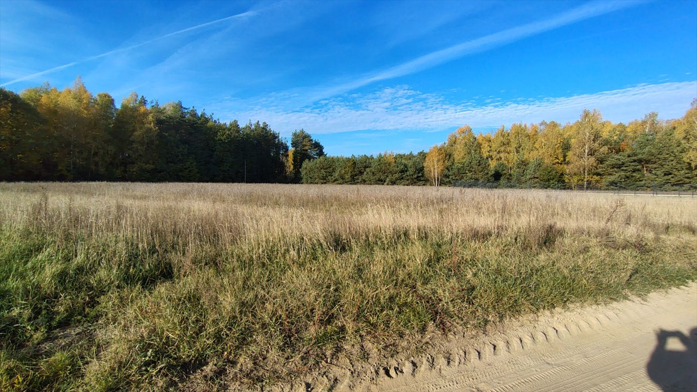 Działka inna na sprzedaż Nowa Wieś, Nowa Wieś  1 380m2 Foto 2