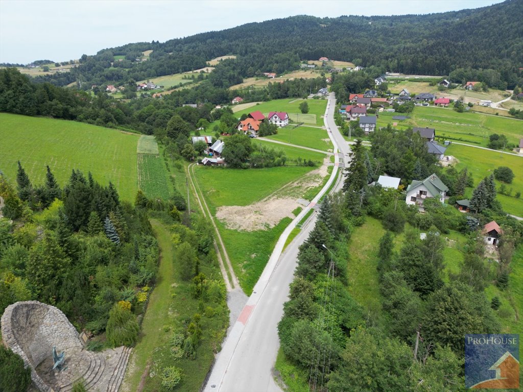 Działka budowlana na sprzedaż Pasierbiec  3 000m2 Foto 3