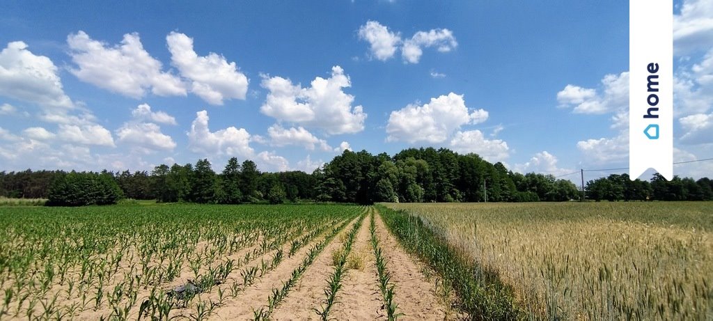 Działka budowlana na sprzedaż Zarośle Cienkie  3 003m2 Foto 1