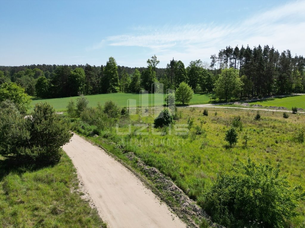 Działka budowlana na sprzedaż Kolincz, Polna  3 023m2 Foto 4