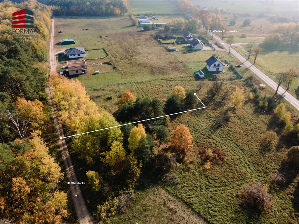 Działka budowlana na sprzedaż Rogoźno, Rogoźno, Strzelecka 2245/11  1 241m2 Foto 5