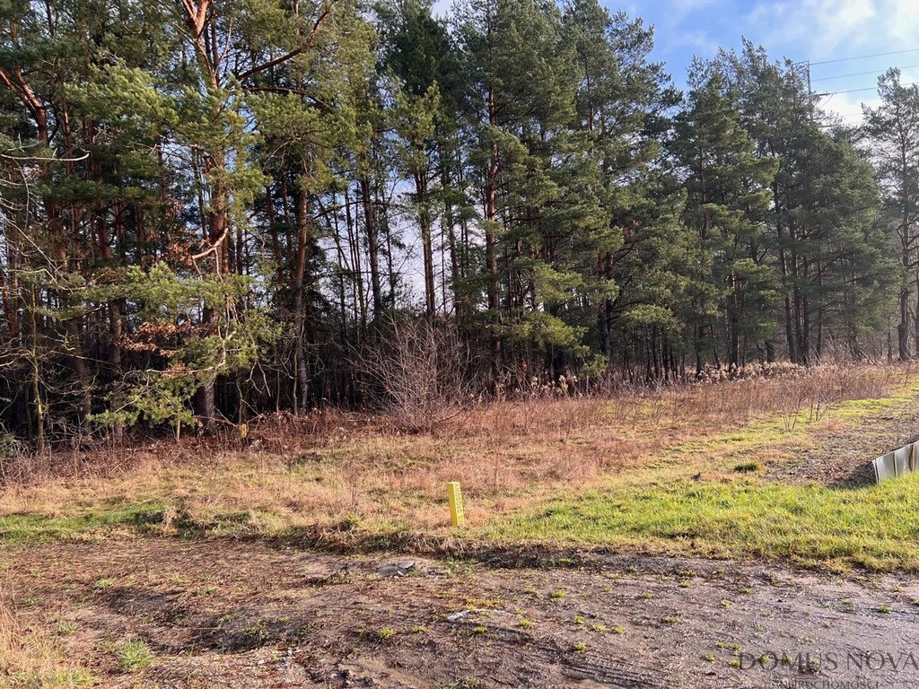 Działka budowlana na sprzedaż Żanęcin, Trakt Lubelski  3 880m2 Foto 1