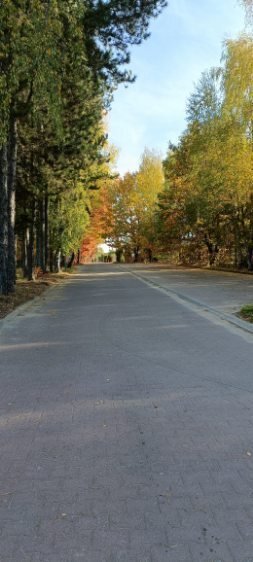 Działka budowlana na sprzedaż Aleksandria, Aleksandria Druga, Księżycowa  1 267m2 Foto 15