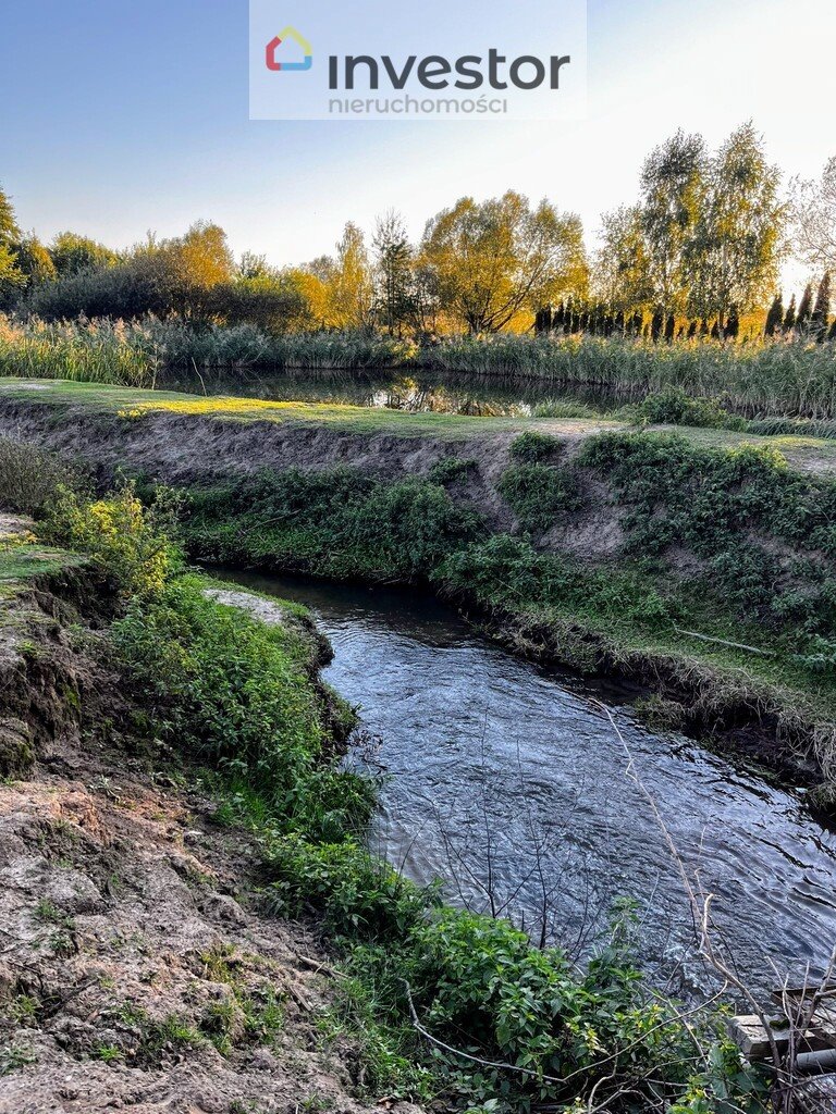 Działka inwestycyjna na sprzedaż Łuczyna  15 000m2 Foto 3