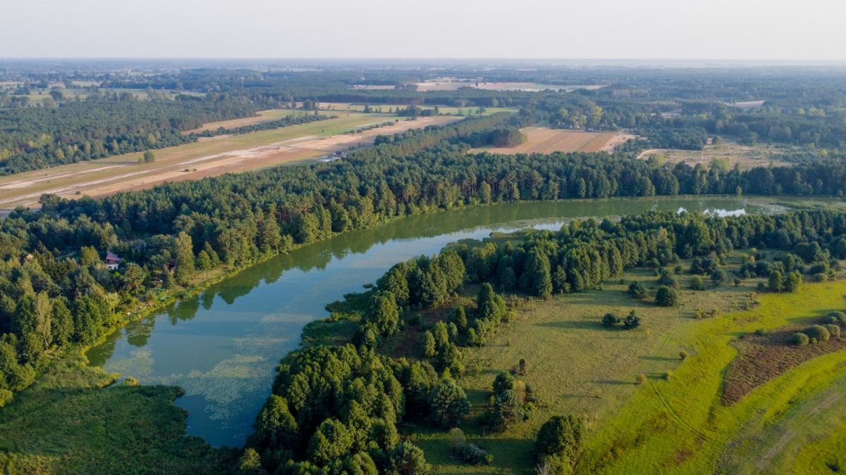 Działka inwestycyjna na sprzedaż Grądy Szlacheckie, Julianka  80 600m2 Foto 12