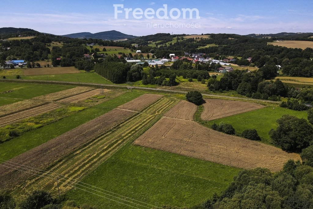 Działka rolna na sprzedaż Cieszyna  9 593m2 Foto 11