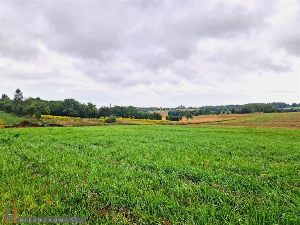 Działka inna na sprzedaż Smardzowice  3 000m2 Foto 2