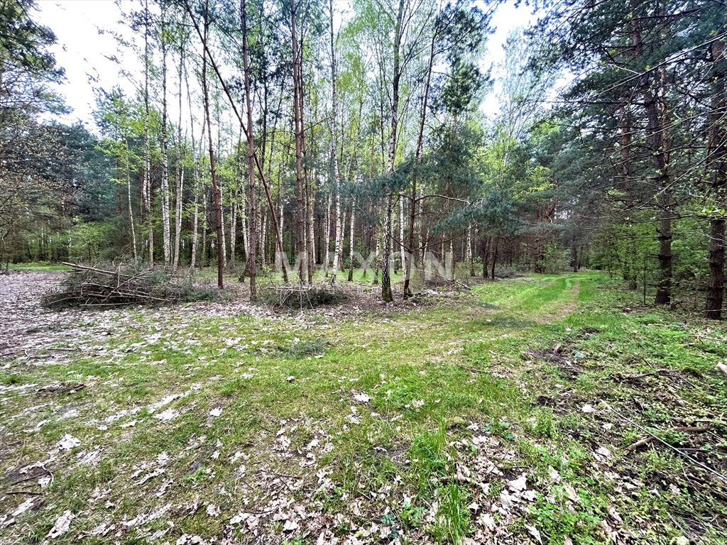 Działka rolna na sprzedaż Stanisławów Pierwszy  6 270m2 Foto 3