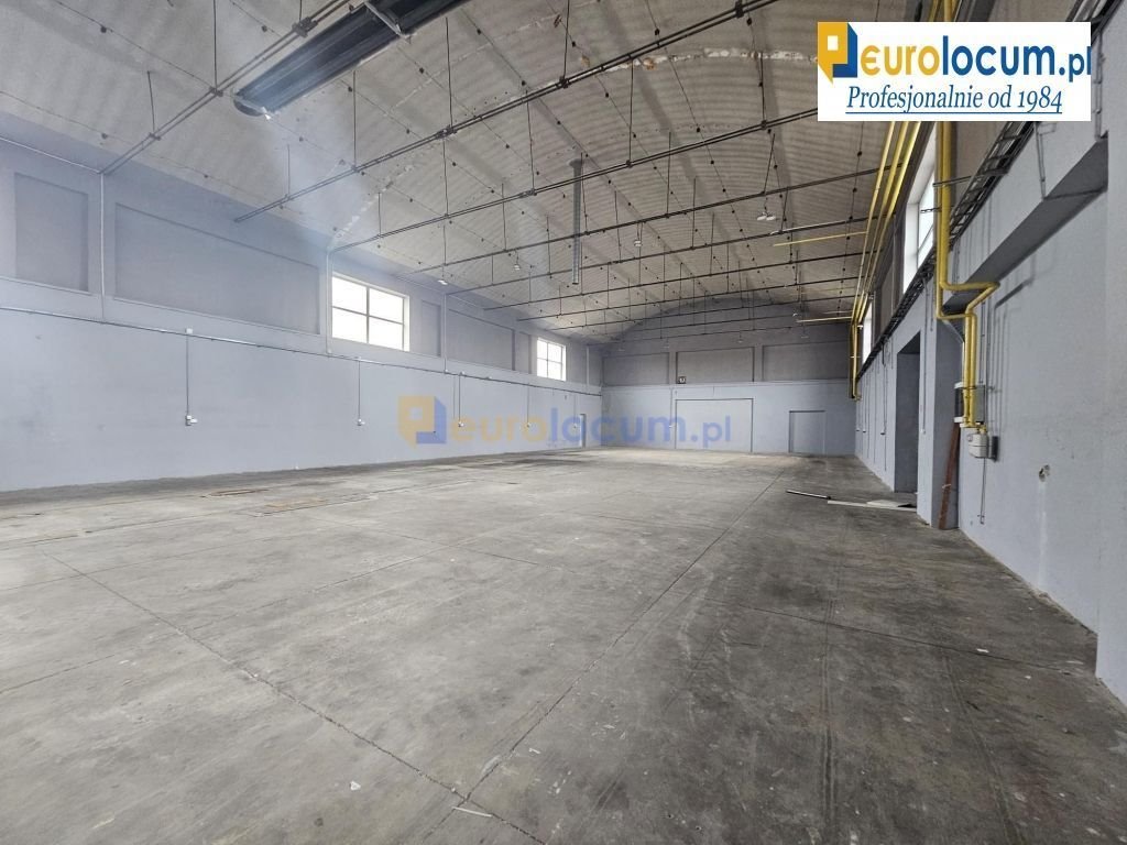 Lokal użytkowy na wynajem Kielce, Czarnów, Kolberga  1 100m2 Foto 1