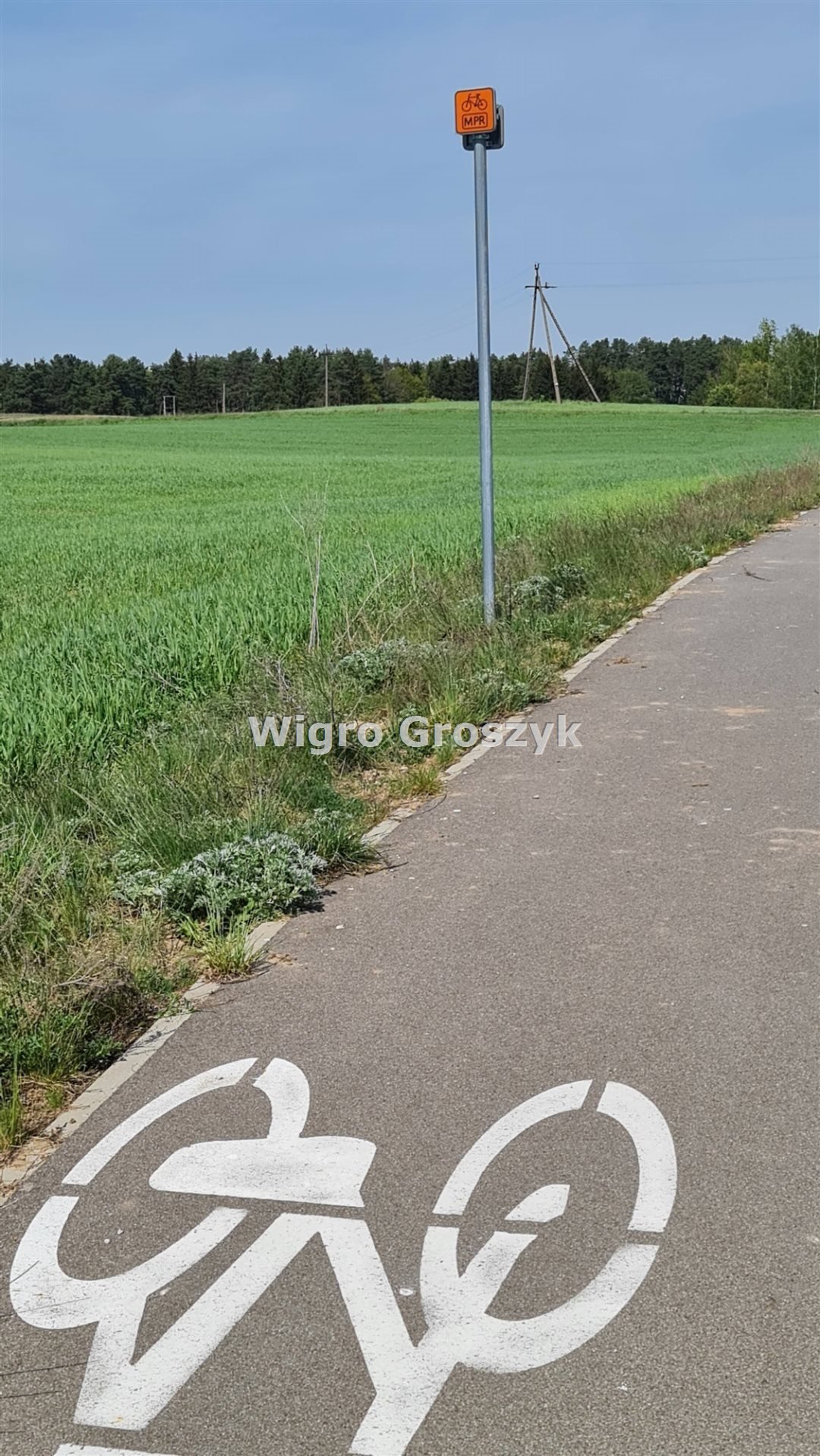 Działka rekreacyjna na sprzedaż Kwik, Kwik  10 409m2 Foto 13