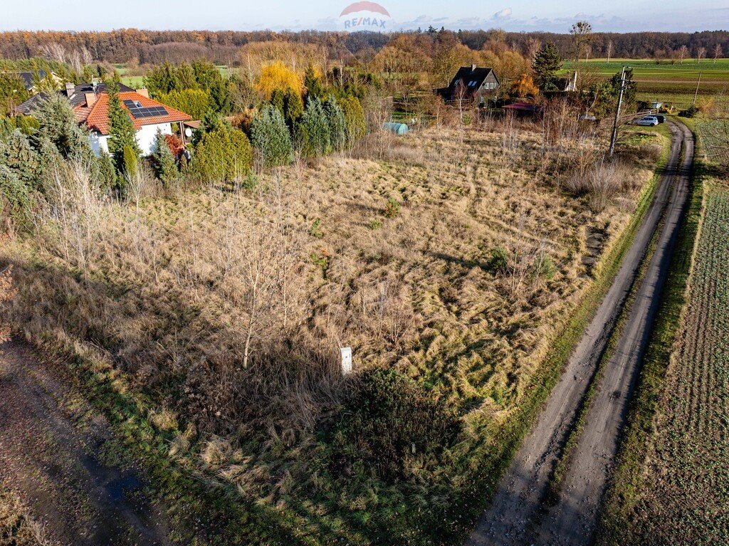 Działka budowlana na sprzedaż Grzebienisko, Szamotulska  2 385m2 Foto 9