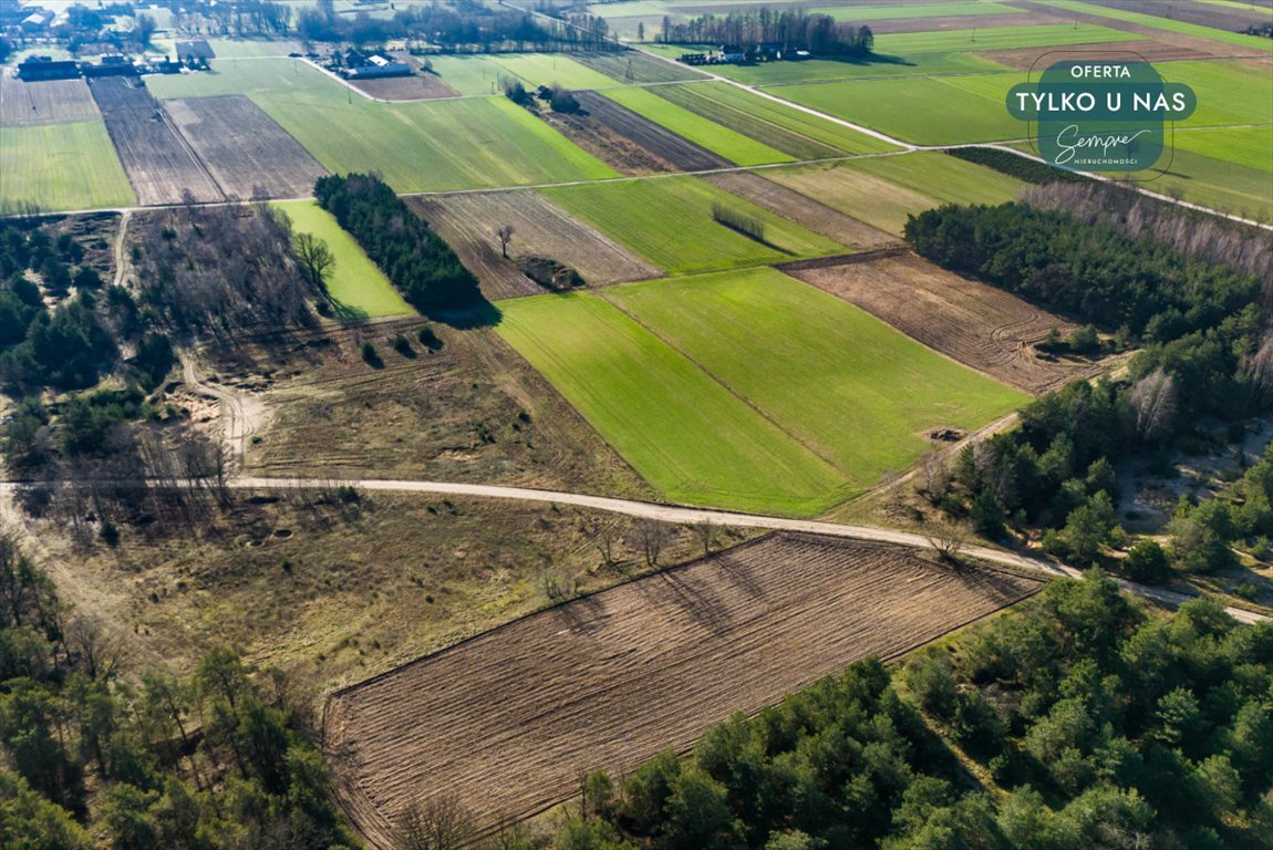 Działka rolna na sprzedaż Wilczków  13 536m2 Foto 8