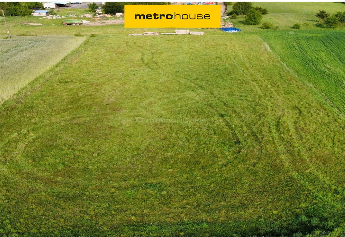 Działka siedliskowa na sprzedaż Mikorowo  3 592m2 Foto 1