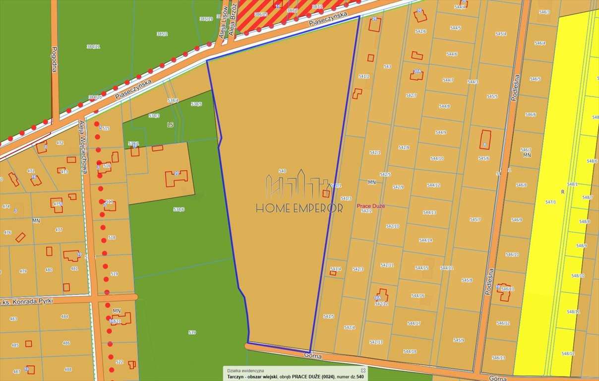 Działka 44 354 m² pod zabudowę jednorodzinną - zapraszam Prace Duże, Piaseczyńska  44 354m2 Foto 1