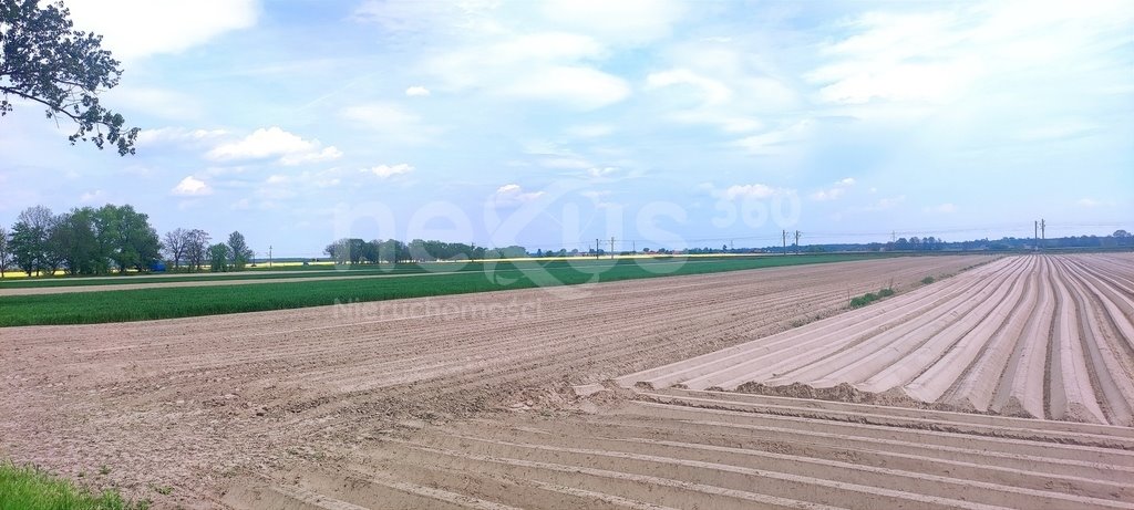 Działka siedliskowa na sprzedaż Oleśnica  7 374m2 Foto 1