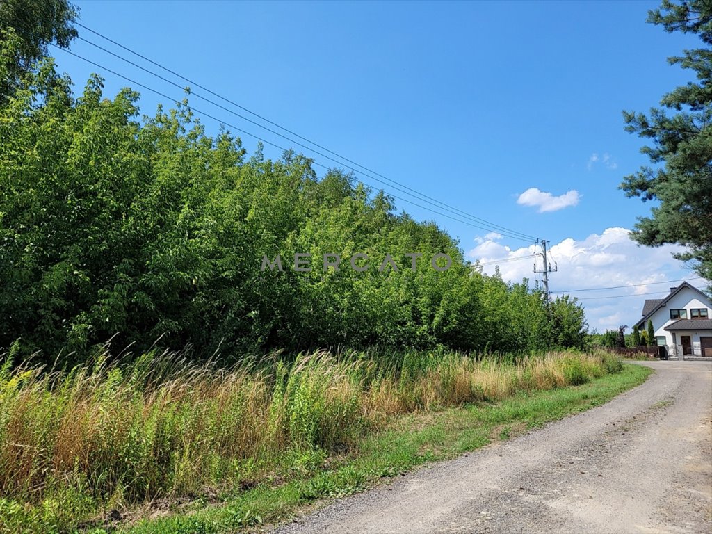 Działka budowlana na sprzedaż Załuski  4 756m2 Foto 10