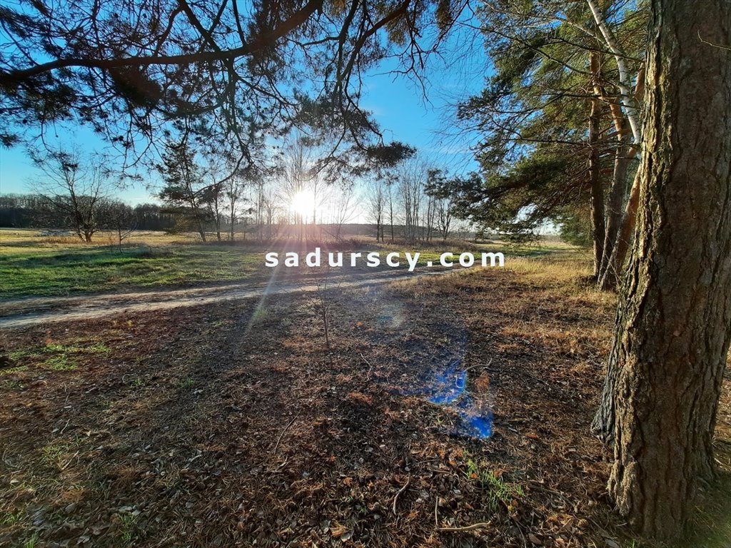 Na sprzedaż działka 3539 m² w Baniosze z mediami i lasem Baniocha  3 539m2 Foto 1