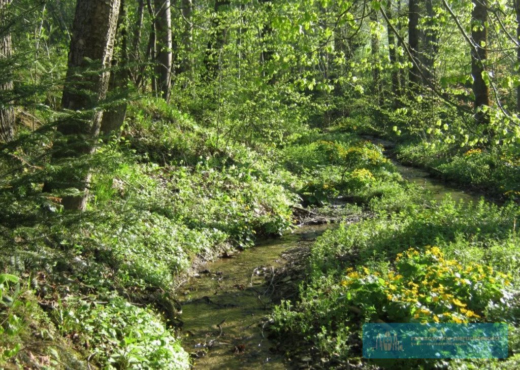 Lokal użytkowy na sprzedaż Ustrzyki Dolne  870m2 Foto 9