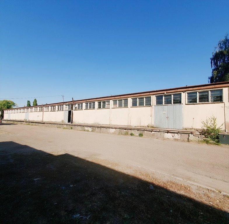 Lokal użytkowy na wynajem Rzepin, Słowackiego  900m2 Foto 1