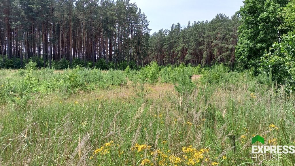 Działka budowlana na sprzedaż Niewodnica Korycka  824m2 Foto 4