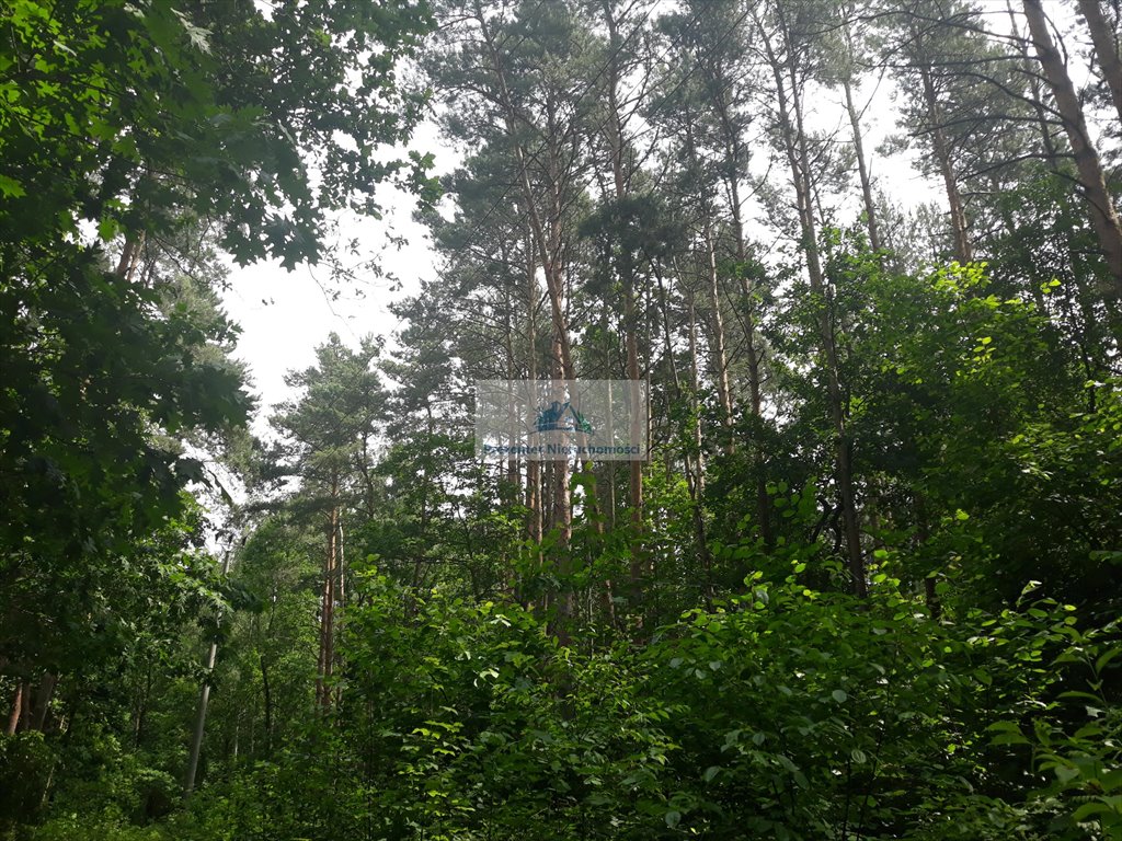 Działka leśna na sprzedaż Warszawa, Wawer, Anin, Teodora Axentowicza  4 400m2 Foto 10